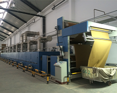 定型（xíng）機天然氣（qì）改造